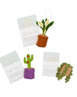 Global Goods Partners Astrology Plant Ornament^ Home + Décor