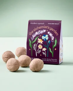 Modern Sprout Bespoke Blooms - The Alchemist's Garden^ Outdoor