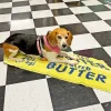 A Shop of Things Butter Rug^ Home + Décor