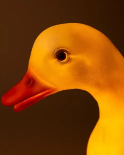 Egmont Duck Lamp^ Home + Décor