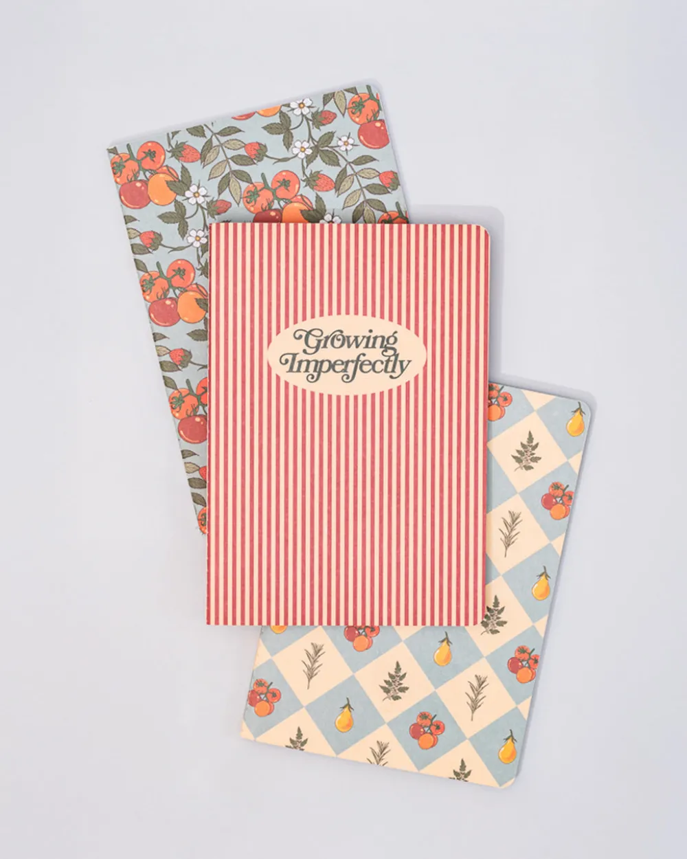 ban.do Hold That Thought Notebook Set - Growing Imperfectly^ Notebooks + Folders