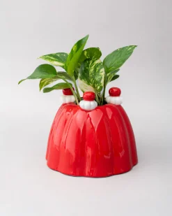 ban.do Jelly Dessert Vase^ Home + Décor