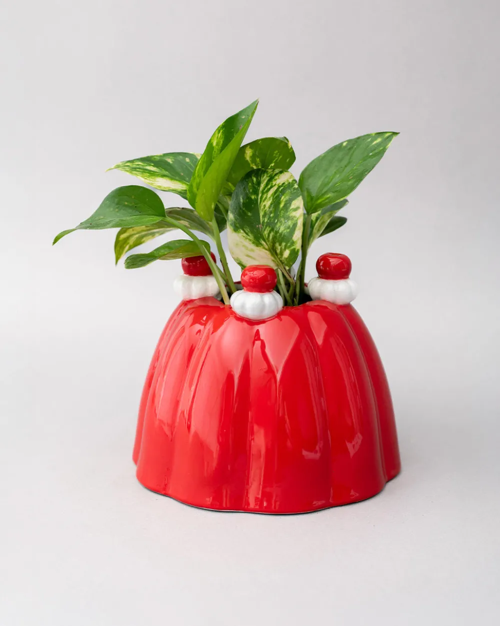 ban.do Jelly Dessert Vase^ Home + Décor