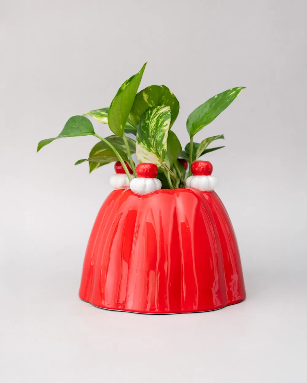 ban.do Jelly Dessert Vase^ Home + Décor