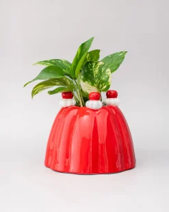 ban.do Jelly Dessert Vase^ Home + Décor