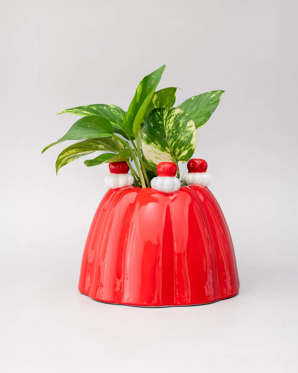 ban.do Jelly Dessert Vase^ Home + Décor