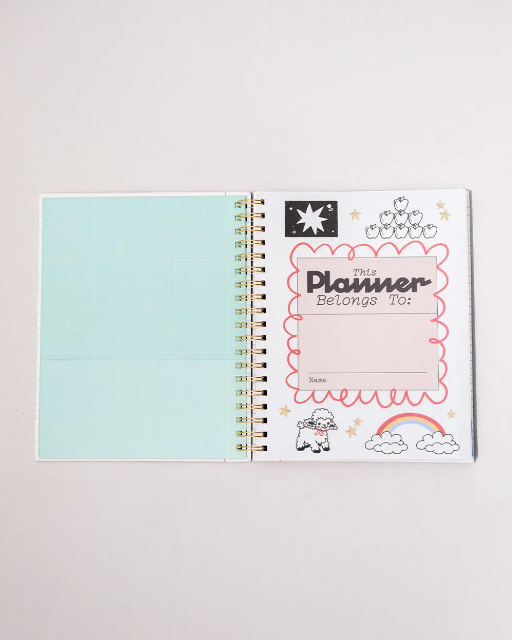 ban.do Large 12-Month Annual Planner - Ready for Anything^ Planners + Calendars