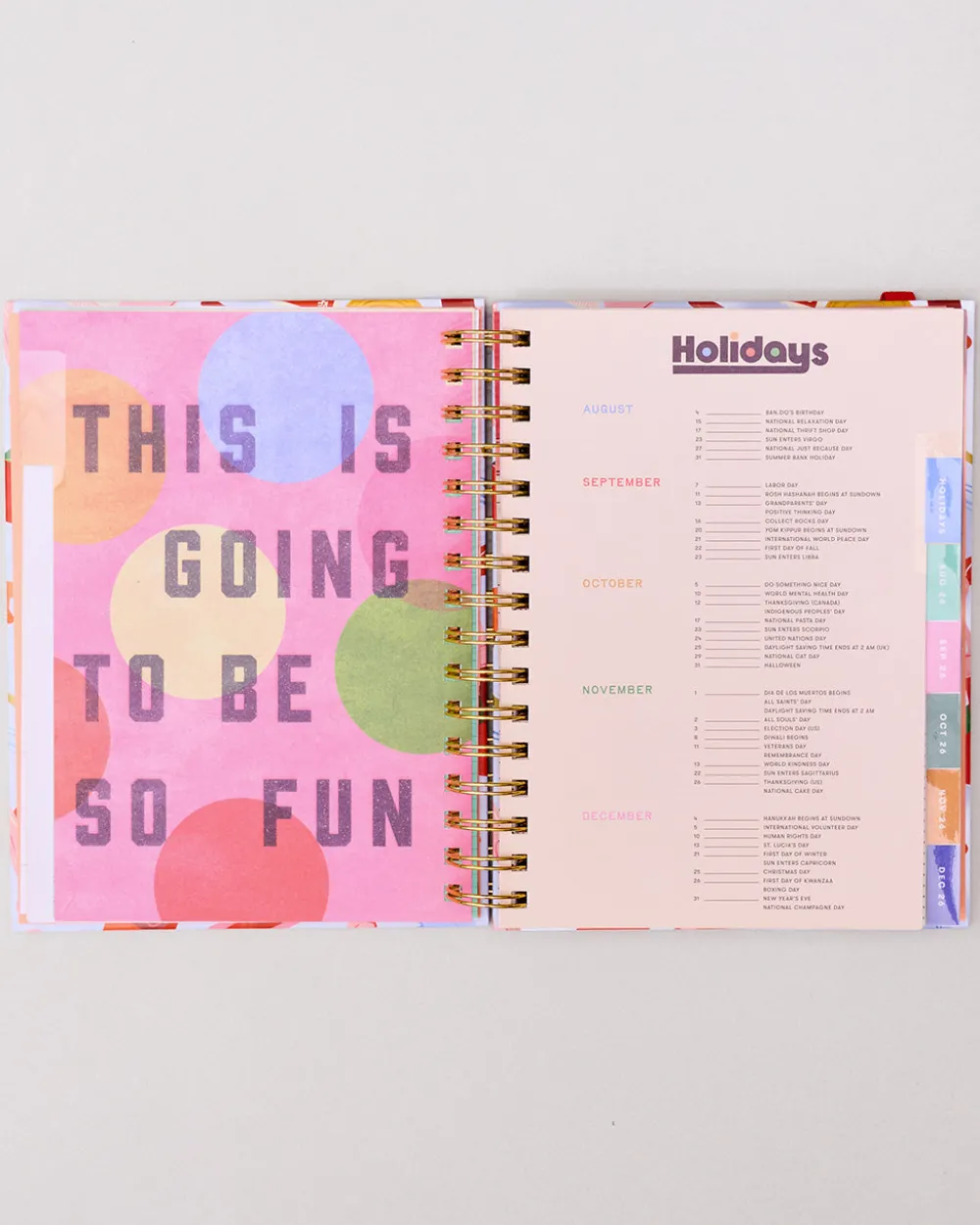 ban.do Medium 17-Month Academic Planner - Icons^ Planners + Calendars