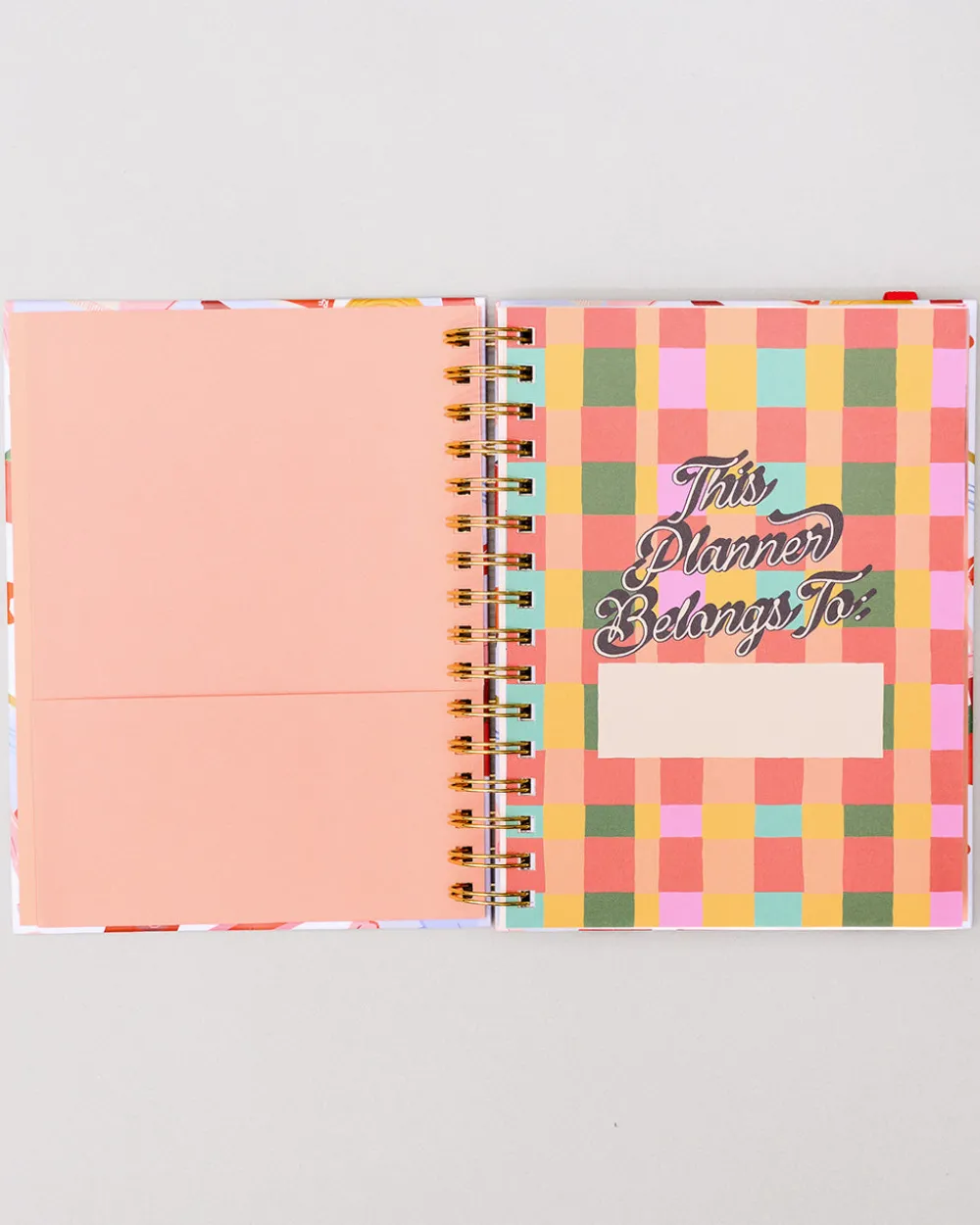 ban.do Medium 17-Month Academic Planner - Icons^ Planners + Calendars