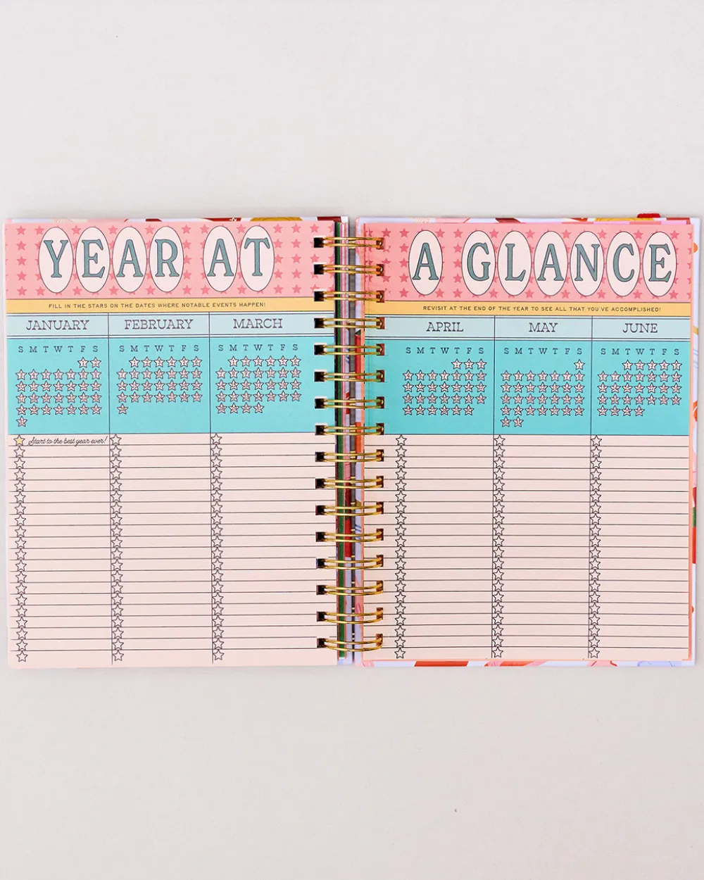 ban.do Medium 17-Month Academic Planner - Oil Paint Floral^ Planners + Calendars