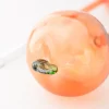 ban.do Peach Watering Globes^ Home + Décor