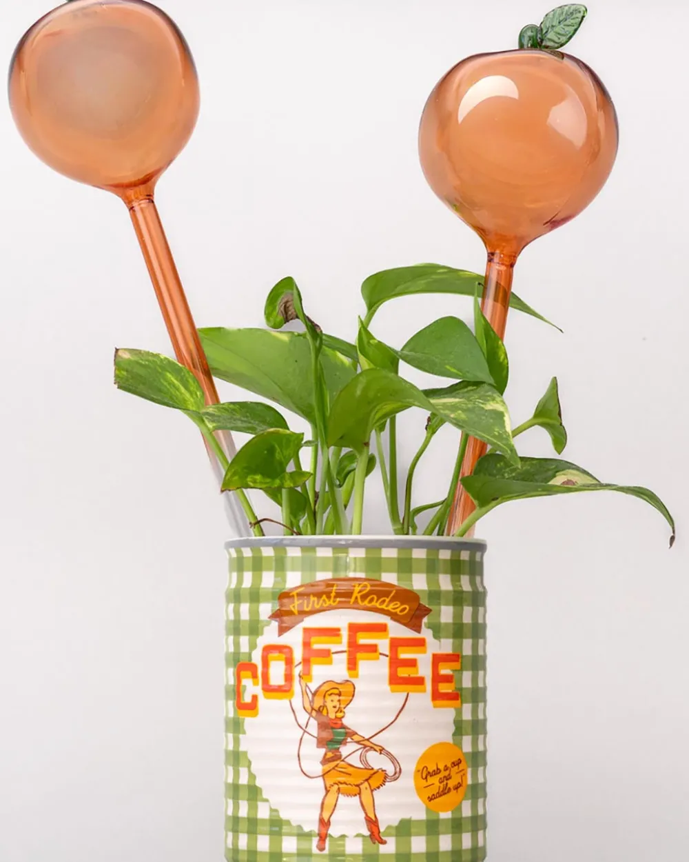 ban.do Peach Watering Globes^ Home + Décor