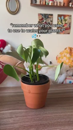 ban.do Tomato Plant Mister^ Home + Décor