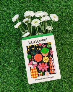 ban.do Wildflower Seeds Vase^ Desk Accessories